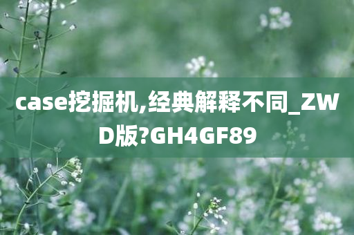 case挖掘机,经典解释不同_ZWD版?GH4GF89