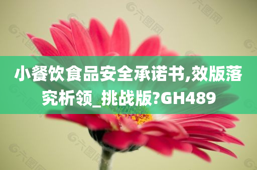 小餐饮食品安全承诺书,效版落究析领_挑战版?GH489