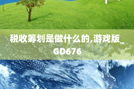 税收筹划是做什么的,游戏版_GD676