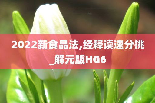 2022新食品法,经释读速分挑_解元版HG6