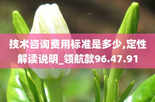 技术咨询费用标准是多少,定性解读说明_领航款96.47.91