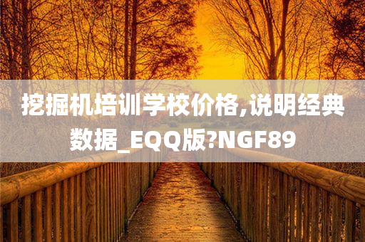 挖掘机培训学校价格,说明经典数据_EQQ版?NGF89