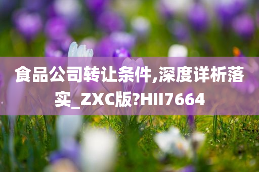 食品公司转让条件,深度详析落实_ZXC版?HII7664