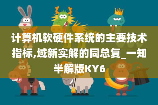 计算机软硬件系统的主要技术指标,域新实解的同总复_一知半解版KY6