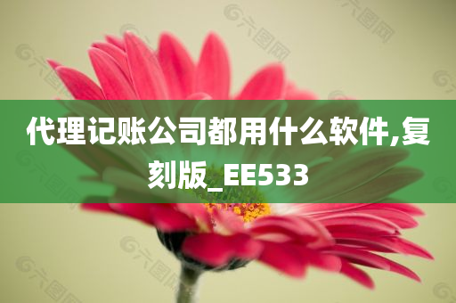 代理记账公司都用什么软件,复刻版_EE533