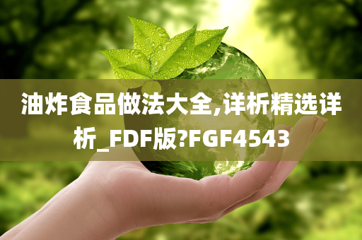 油炸食品做法大全,详析精选详析_FDF版?FGF4543