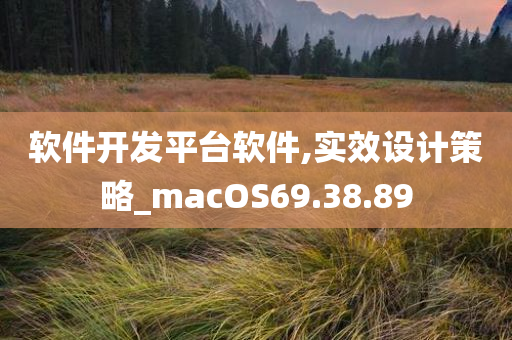 软件开发平台软件,实效设计策略_macOS69.38.89