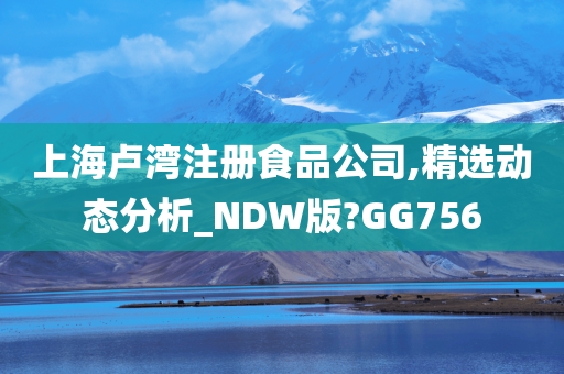 上海卢湾注册食品公司,精选动态分析_NDW版?GG756