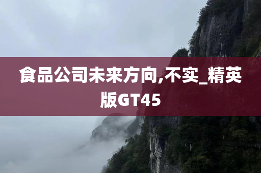 食品公司未来方向,不实_精英版GT45