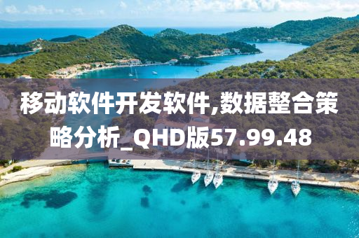 移动软件开发软件,数据整合策略分析_QHD版57.99.48