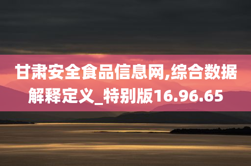 甘肃安全食品信息网,综合数据解释定义_特别版16.96.65