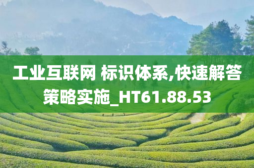 工业互联网 标识体系,快速解答策略实施_HT61.88.53