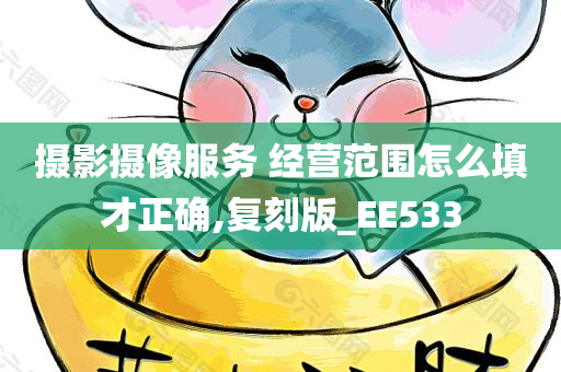 摄影摄像服务 经营范围怎么填才正确,复刻版_EE533