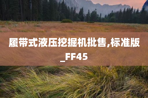 履带式液压挖掘机批售,标准版_FF45