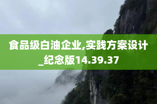 食品级白油企业,实践方案设计_纪念版14.39.37