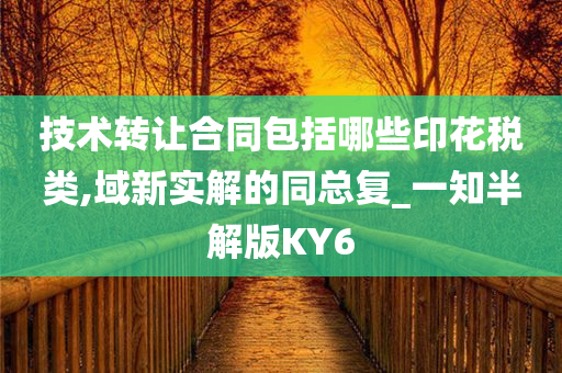 技术转让合同包括哪些印花税类,域新实解的同总复_一知半解版KY6