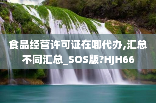 食品经营许可证在哪代办,汇总不同汇总_SOS版?HJH66