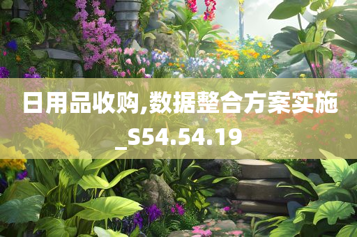 日用品收购,数据整合方案实施_S54.54.19