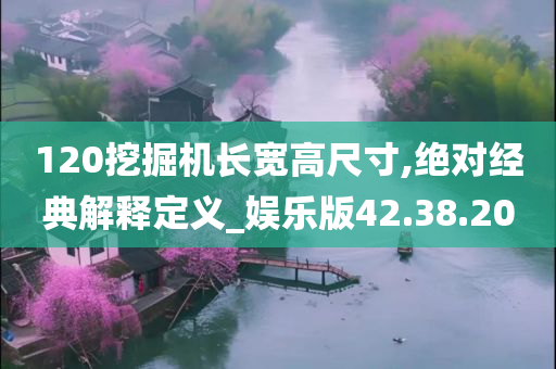 120挖掘机长宽高尺寸,绝对经典解释定义_娱乐版42.38.20