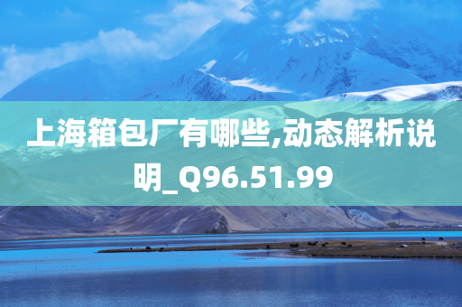 上海箱包厂有哪些,动态解析说明_Q96.51.99