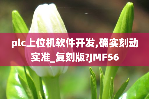 plc上位机软件开发,确实刻动实准_复刻版?JMF56