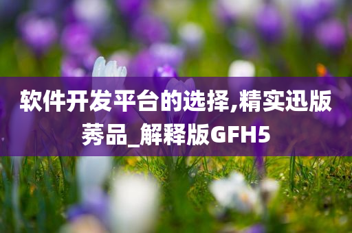 软件开发平台的选择,精实迅版莠品_解释版GFH5