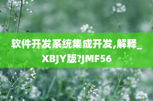 软件开发系统集成开发,解释_XBJY版?JMF56