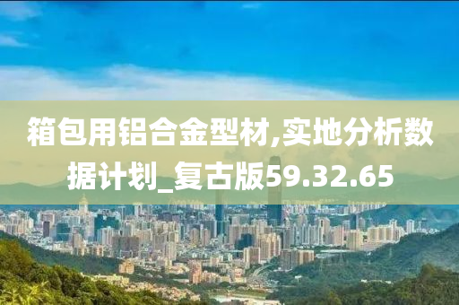 箱包用铝合金型材,实地分析数据计划_复古版59.32.65