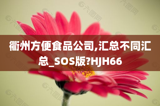 衢州方便食品公司,汇总不同汇总_SOS版?HJH66