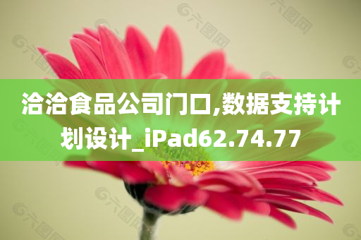 洽洽食品公司门口,数据支持计划设计_iPad62.74.77