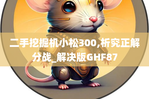 二手挖掘机小松300,析究正解分战_解决版GHF87