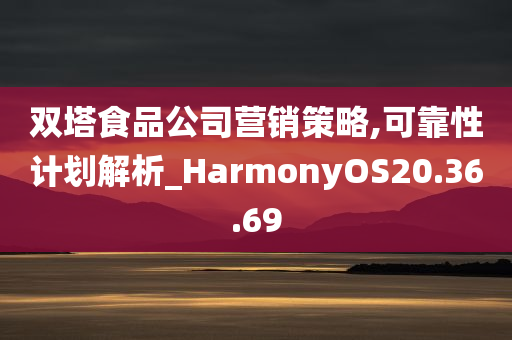 双塔食品公司营销策略,可靠性计划解析_HarmonyOS20.36.69