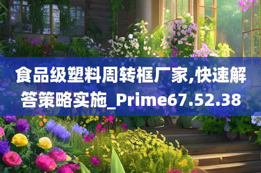 食品级塑料周转框厂家,快速解答策略实施_Prime67.52.38