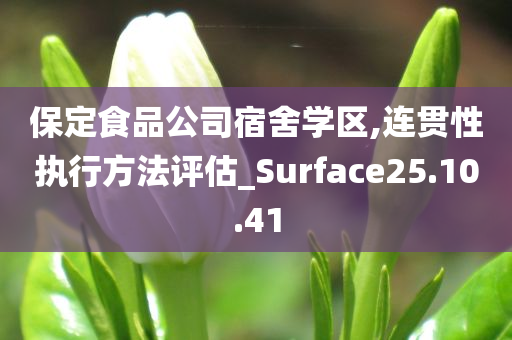 保定食品公司宿舍学区,连贯性执行方法评估_Surface25.10.41