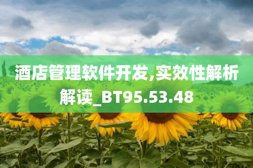 酒店管理软件开发,实效性解析解读_BT95.53.48