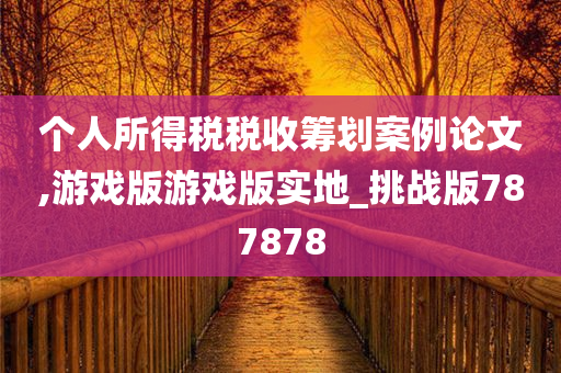 个人所得税税收筹划案例论文,游戏版游戏版实地_挑战版787878