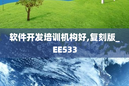 软件开发培训机构好,复刻版_EE533