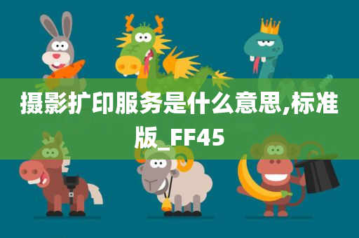 摄影扩印服务是什么意思,标准版_FF45