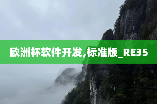 欧洲杯软件开发,标准版_RE35