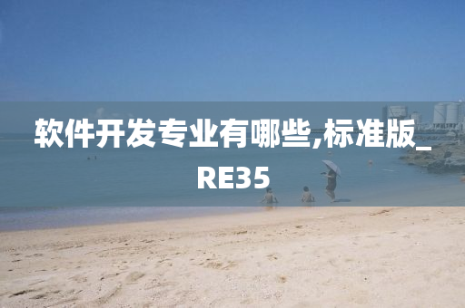 软件开发专业有哪些,标准版_RE35