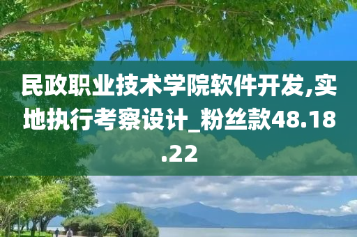 民政职业技术学院软件开发,实地执行考察设计_粉丝款48.18.22