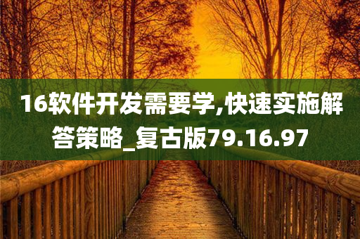 16软件开发需要学,快速实施解答策略_复古版79.16.97