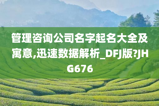 管理咨询公司名字起名大全及寓意,迅速数据解析_DFJ版?JHG676