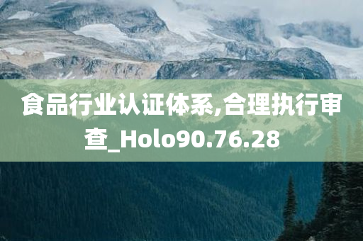 食品行业认证体系,合理执行审查_Holo90.76.28