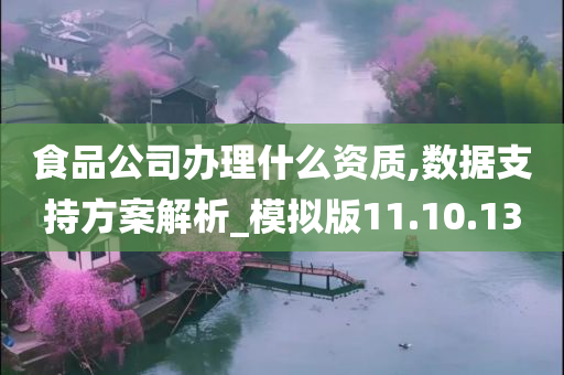 食品公司办理什么资质,数据支持方案解析_模拟版11.10.13