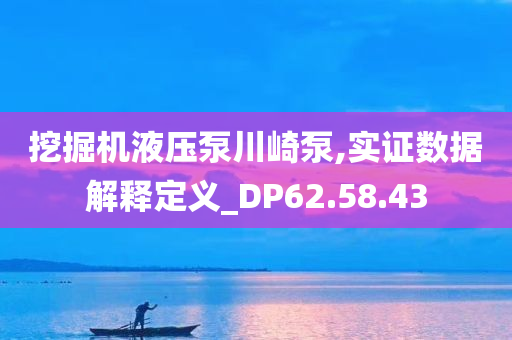 挖掘机液压泵川崎泵,实证数据解释定义_DP62.58.43