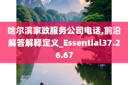 哈尔滨家政服务公司电话,前沿解答解释定义_Essential37.26.67