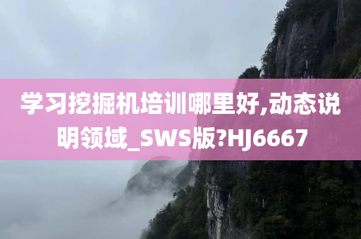 学习挖掘机培训哪里好,动态说明领域_SWS版?HJ6667