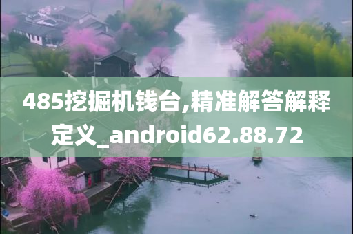 485挖掘机钱台,精准解答解释定义_android62.88.72