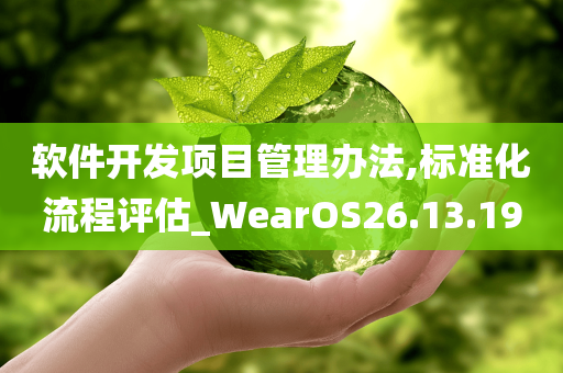 软件开发项目管理办法,标准化流程评估_WearOS26.13.19